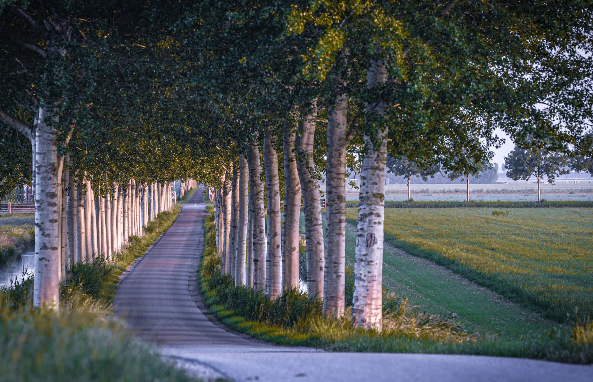 De rijke geschiedenis van de Beemsterpolder