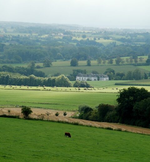 De mooiste en leukste Center Parcs vakantieparken in Nederland