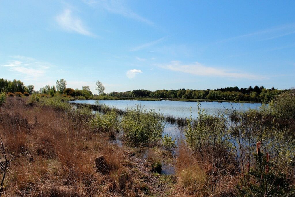 Nationaal Park Dwingelderveld met het gezellig dorp Dwingeloo