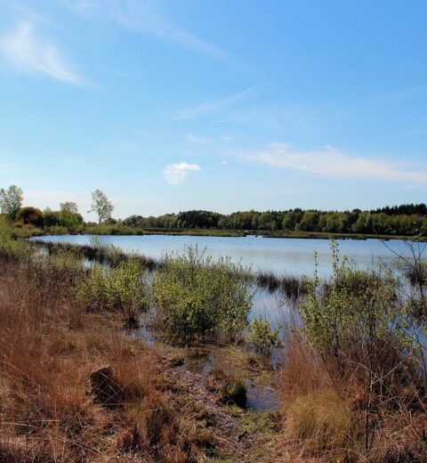 De Poldertuin in Anna Paulowna: het bezoeken waard!