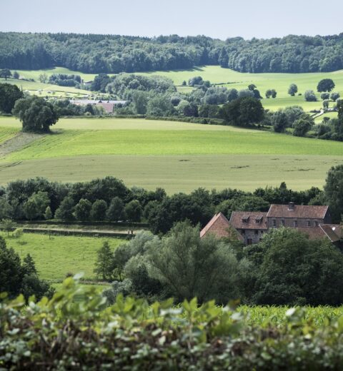 De mooiste en leukste Center Parcs vakantieparken in Nederland