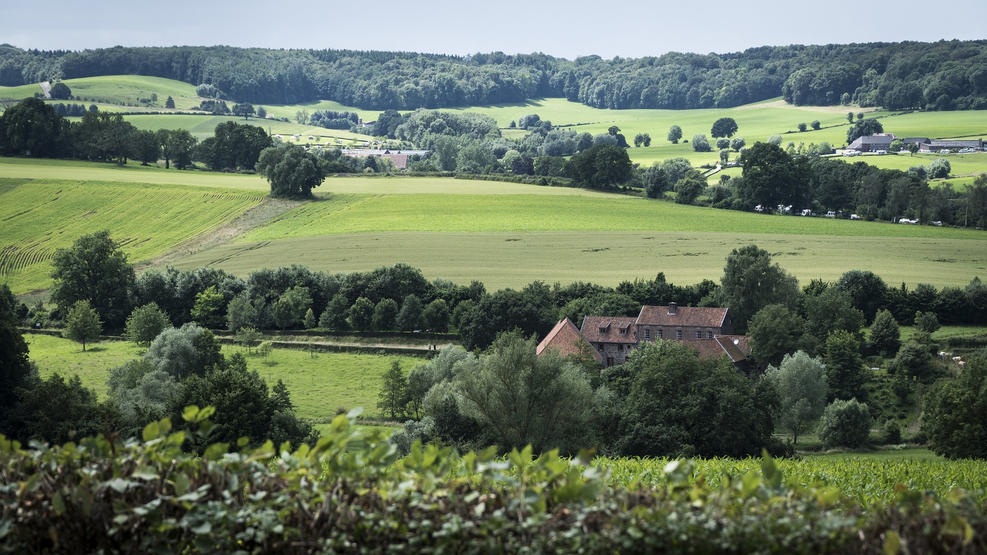 De mooiste natuurgebieden van Limburg